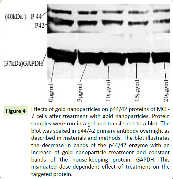 Nano-Research-gel-transferred