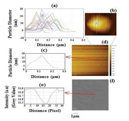 nanotechnology-AFM-iSCAT-imaging