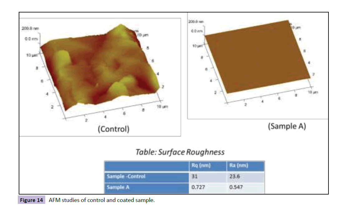 nanotechnology-AFM-studies-control