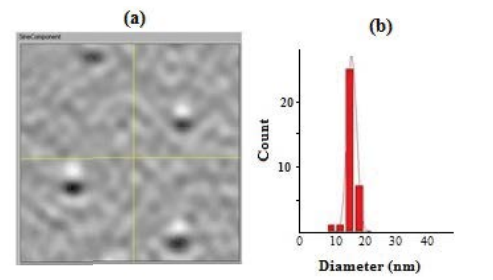 nanotechnology-MPNS-particles-coated