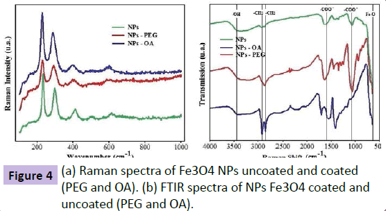 nanotechnology-Raman-spectra