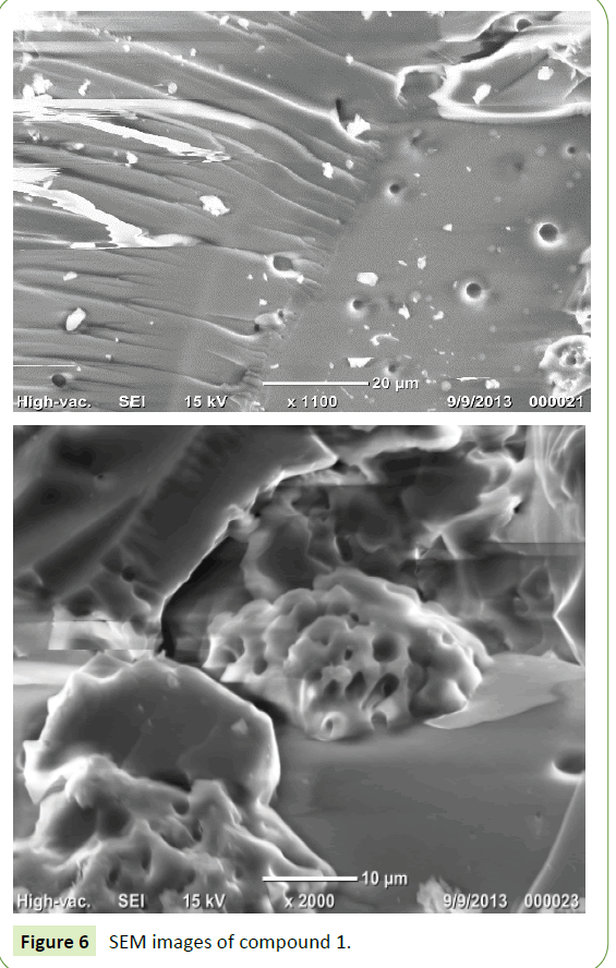 nanotechnology-SEM-images