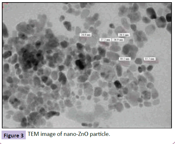 nanotechnology-TEM-image-nano