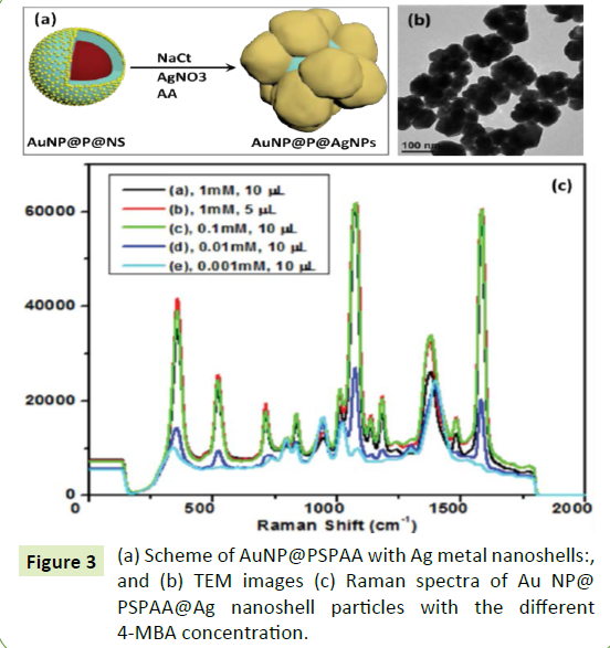 nanotechnology-TEM-images