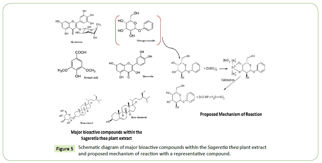 nanotechnology-bioactive-compounds