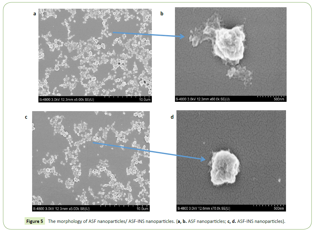 nanotechnology-morphology