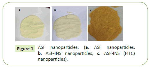 nanotechnology-nanoparticles