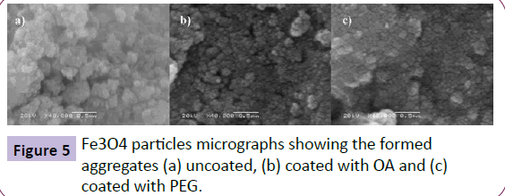nanotechnology-particles-micrographs