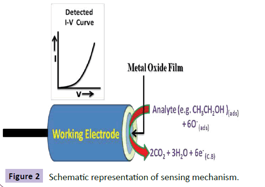 nanotechnology-sensing-mechanism