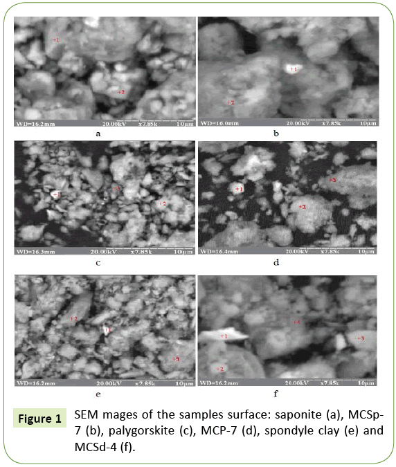 nanotechnology-surface-saponite